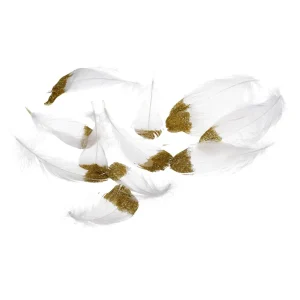 Depot Plumes Naturelles Deco Paillettes