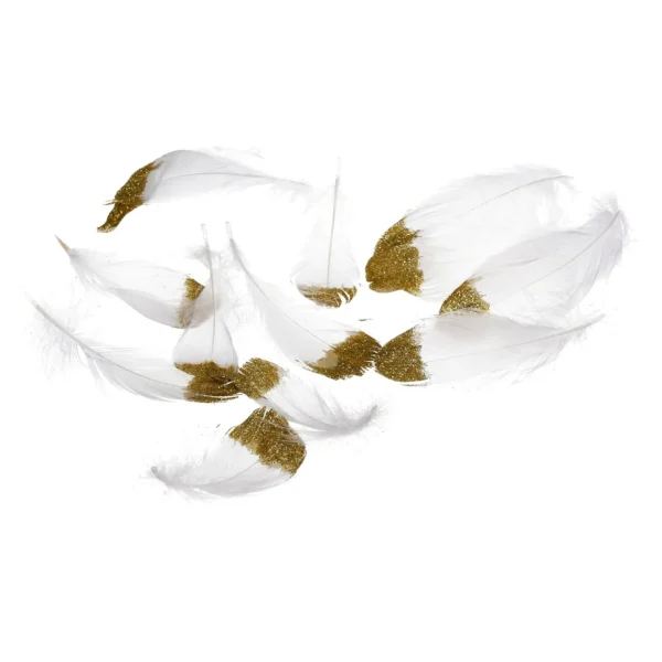 Depot Plumes Naturelles Deco Paillettes