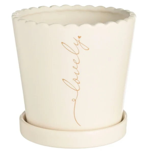 Depot Pot De Fleurs Avec Soucoupe