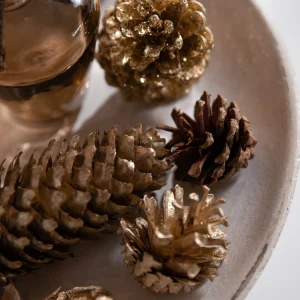 Depot Pot-Pourri^ Branches & Cônes De Sapin