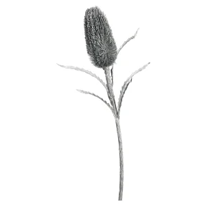 Depot Protea Ca. 70Cm, Silber^ Fleurs