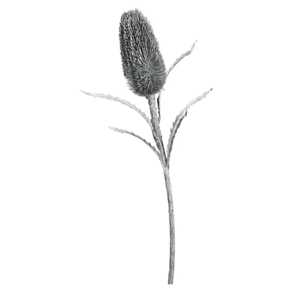 Depot Protea Ca. 70Cm, Silber^ Fleurs