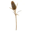 Depot Protea Ca. 70Cm, Silber^ Décoration De La Couronne De L'Avent
