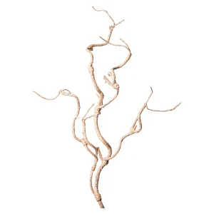 Depot Rameau D'Art Scintillant^ Fleurs