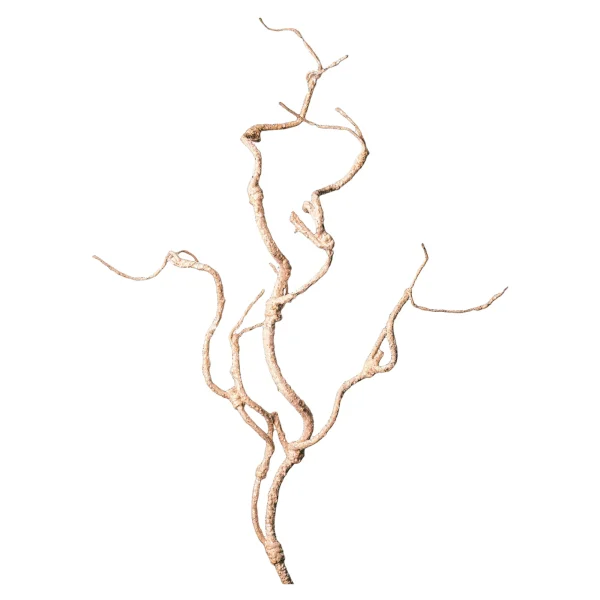 Depot Rameau D'Art Scintillant^ Fleurs