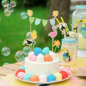 Depot Set De Décoration De Gateaux Toucan