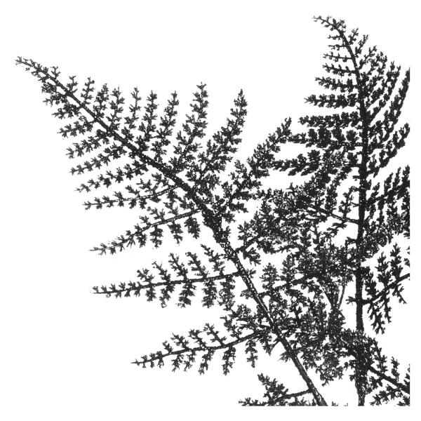 Depot Stielblume Farn Glam Ca. 58Cm^ Décoration De La Couronne De L'Avent