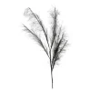 Depot Stielblume Pampas Glam Ca. 110^ Fleurs