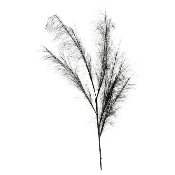Depot Stielblume Pampas Glam Ca. 110^ Fleurs