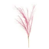 Depot Stielblume Pampas Glam Ca. 110^ Fleurs