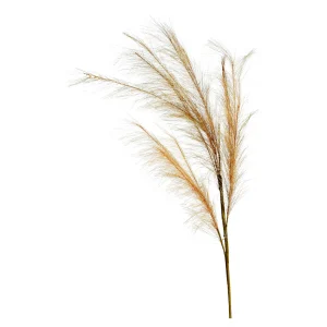 Depot Stielblume Pampas Glam Ca. 110^ Fleurs