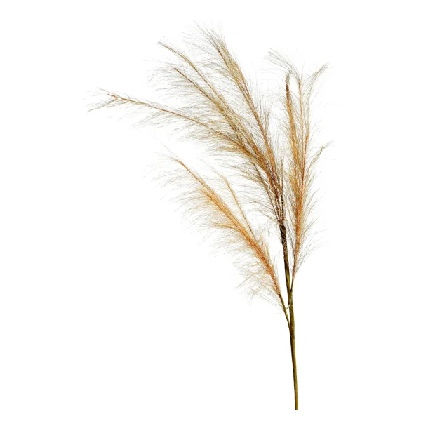 Depot Stielblume Pampas Glam Ca. 110^ Fleurs