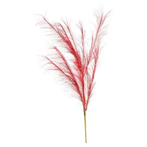 Depot Stielblume Pampas Glam Ca. 110^ Fleurs