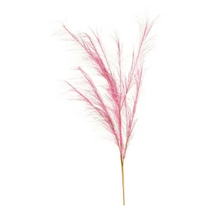 Depot Stielblume Pampas Glam Ca. 110^ Fleurs