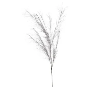 Depot Stielblume Pampas Glam Ca. 110^ Fleurs