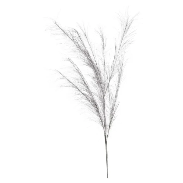 Depot Stielblume Pampas Glam Ca. 110^ Fleurs