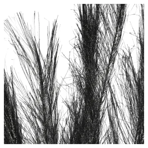 Depot Stielblume Pampas Glam Ca. 110^ Fleurs