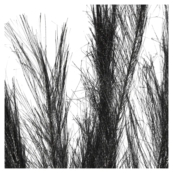 Depot Stielblume Pampas Glam Ca. 110^ Fleurs