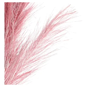 Depot Stielblume Pampas Glam Ca. 110^ Fleurs