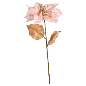 Depot Stielblume Weihnachtsstern Ca.67Cm^ Fleurs
