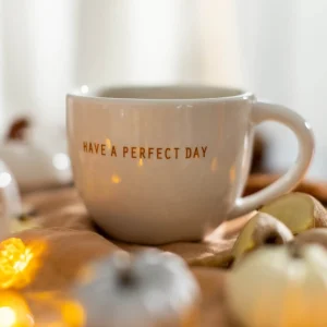 Depot Tasse Courge Avec Couvercle