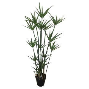 Depot Topfpflanze Zyperngras Ca. 120Cm^ Arbres Artificiels