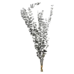 Depot Trockenblume Eukalyptus Ca.55C^ Décoration De La Couronne De L'Avent