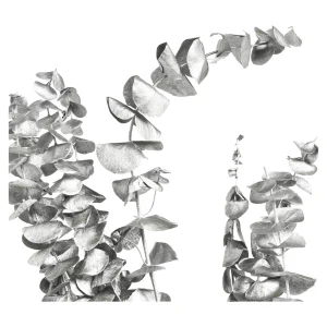Depot Trockenblume Eukalyptus Ca.55C^ Décoration De La Couronne De L'Avent