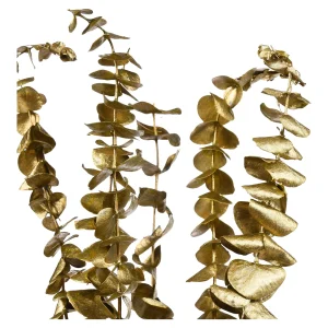 Depot Trockenblume Eukalyptus Ca.55C^ Décoration De La Couronne De L'Avent