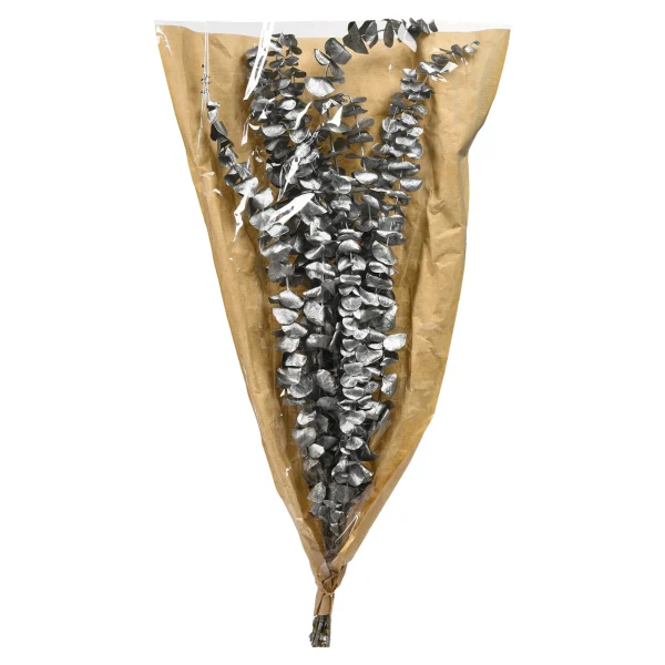 Depot Trockenblume Eukalyptus Ca.55C^ Décoration De La Couronne De L'Avent