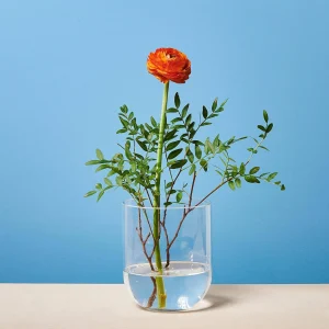 Depot Vase Bernadette