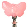 Depot Vase Papillon Sur Clip