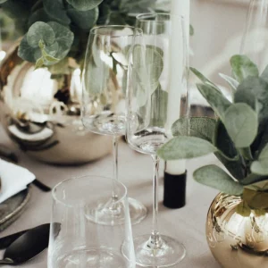 Depot Verre A Champagne Pur