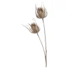 Depot Zweig Distel Ca. 81Cm^ Décoration De La Couronne De L'Avent