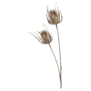 Depot Zweig Distel Ca. 81Cm^ Décoration De La Couronne De L'Avent
