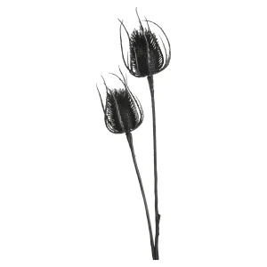 Depot Zweig Distel Ca. 81Cm^ Décoration De La Couronne De L'Avent