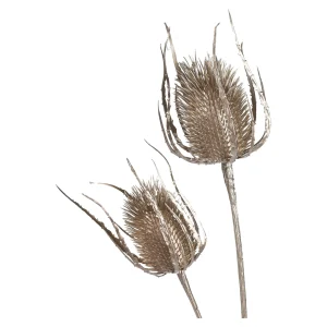 Depot Zweig Distel Ca. 81Cm^ Décoration De La Couronne De L'Avent