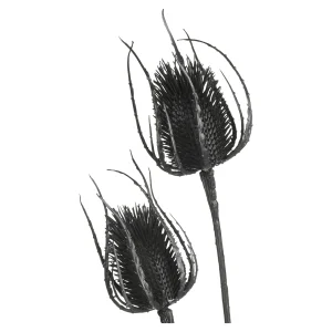 Depot Zweig Distel Ca. 81Cm^ Décoration De La Couronne De L'Avent