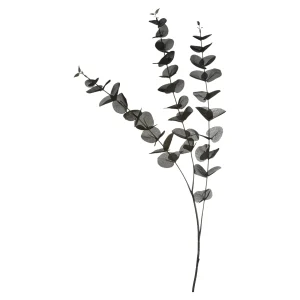 Depot Zweig Eukalyptus Ca.100Cm^ Décoration De La Couronne De L'Avent