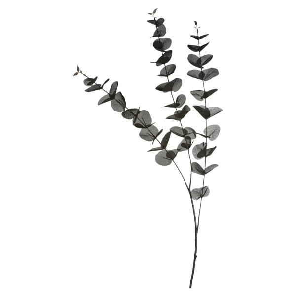 Depot Zweig Eukalyptus Ca.100Cm^ Décoration De La Couronne De L'Avent