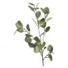 Depot Zweig Eukalyptus Ca.73Cm^ Fleurs