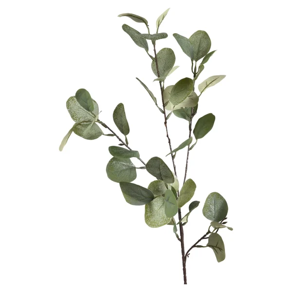 Depot Zweig Eukalyptus Ca.73Cm^ Fleurs