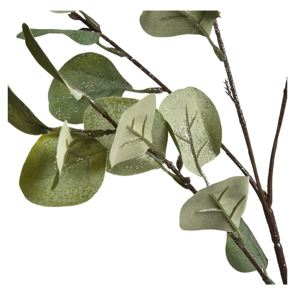 Depot Zweig Eukalyptus Ca.73Cm^ Fleurs