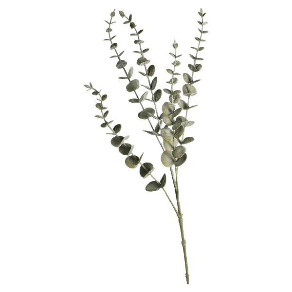Depot Zweig Eukalyptus Modern Ca.74Cm, Creme