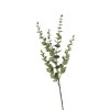 Depot Zweig Eukalyptus Modern Ca.74Cm, Creme
