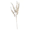 Depot Zweig Eukalyptus Modern Ca.74Cm, Creme^ Décoration De La Couronne De L'Avent