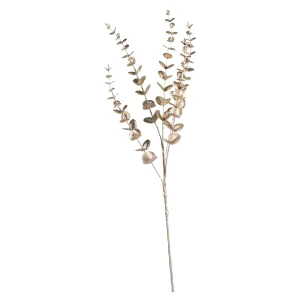 Depot Zweig Eukalyptus Modern Ca.74Cm, Creme^ Décoration De La Couronne De L'Avent