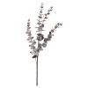 Depot Zweig Eukalyptus Modern Ca.74Cm, Creme^ Décoration De La Couronne De L'Avent