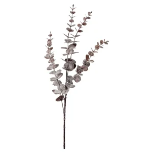Depot Zweig Eukalyptus Modern Ca.74Cm, Creme^ Décoration De La Couronne De L'Avent