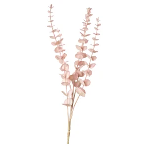 Depot Zweig Eukalyptus Modern Ca.74Cm, Creme^ Décoration De La Couronne De L'Avent